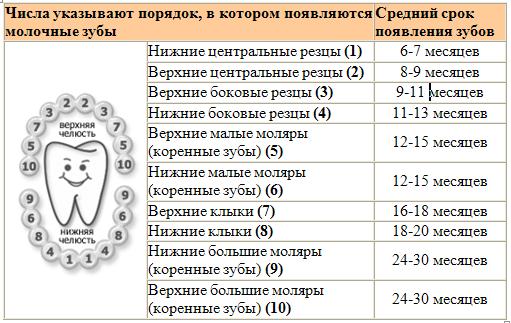 Ребенок днем спит по полчаса Ребенок днем спит по полчаса
