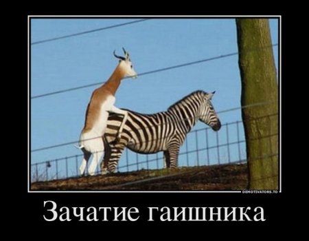 883f31e373243befb97439072f957bce.jpg