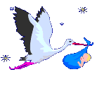 6954c43aa6a23d5e21958e5858919865.gif