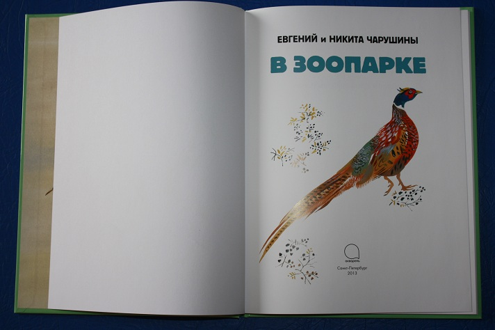 Рисунки стоящего медведя Реклама: юмор, смешные пародии и анекдоты из
