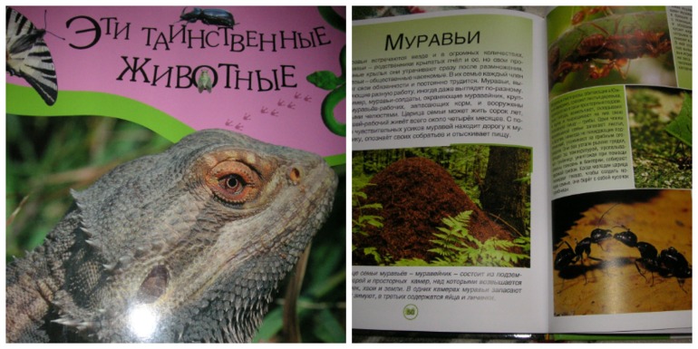 Как быстро и легко похудеть подростку в домашних условиях Как быстро и легко похудеть подростку в домашних условиях