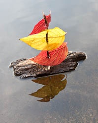 8c66cb53f84225843694e997bb13f9c1.jpg