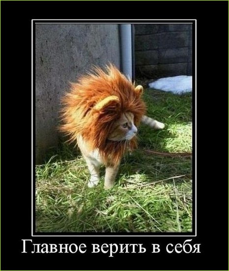 59ae65945a1c30127650eb4dde718fcc.jpg
