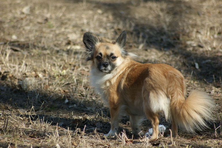 Брат и сестра))))