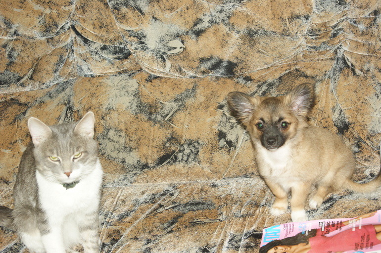 Брат и сестра))))