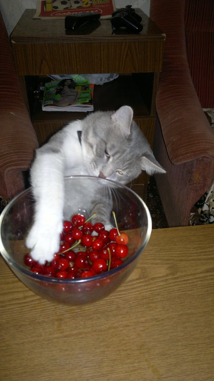 Брат и сестра))))