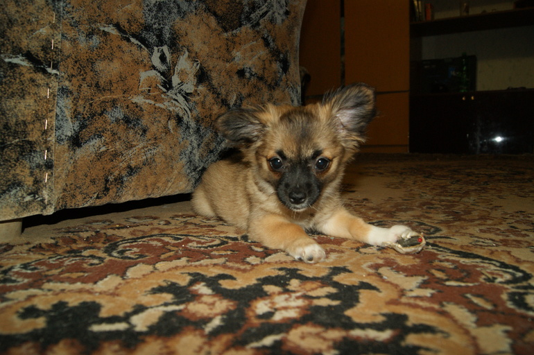 Брат и сестра))))