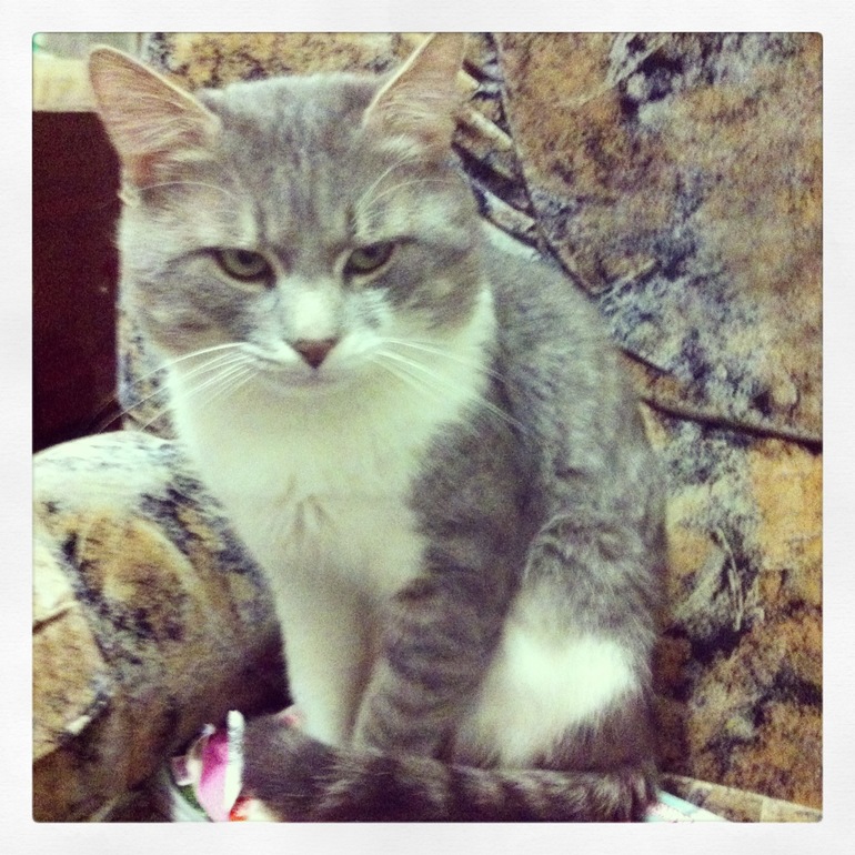 Брат и сестра))))