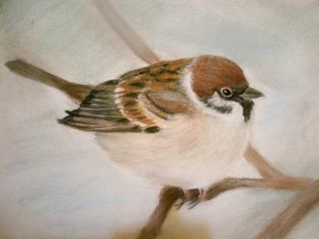 Еще ножко моих картин и рисунков