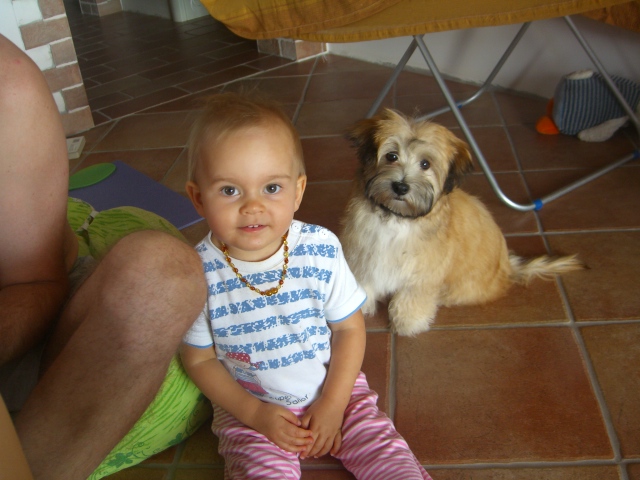 Взяв щенка выяснилось что муж прямо совсем против собак, хотя обсуждая эту тему он такого не говорил