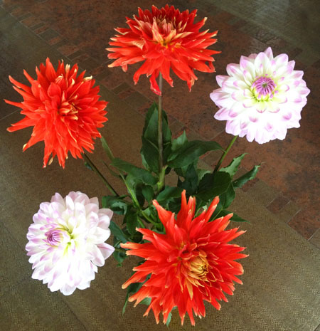 29 недель ровно