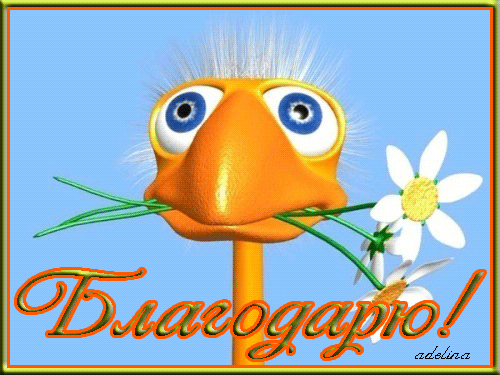 55aafb49389b3a6e06ddadd68047528c.gif