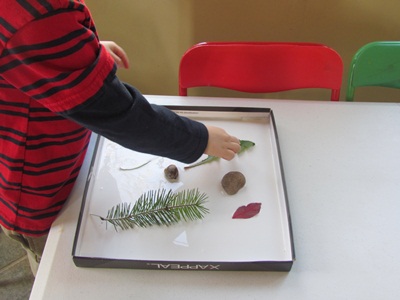 Поделки из природных материалов