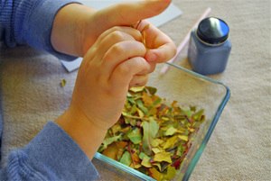 Осеннее дерево