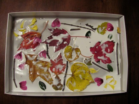 Поделки из природных материалов