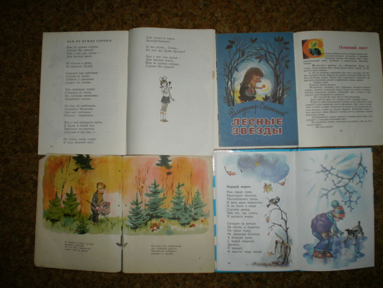 Главная осенняя книга