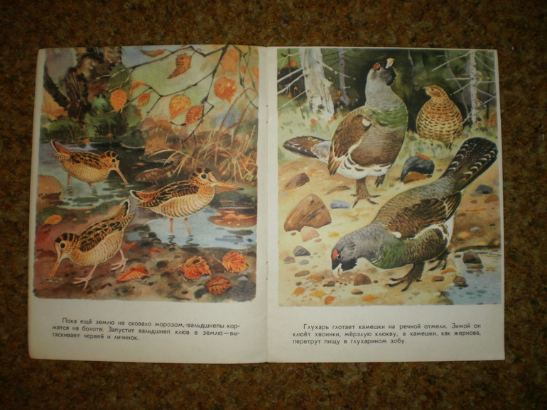 Главная осенняя книга