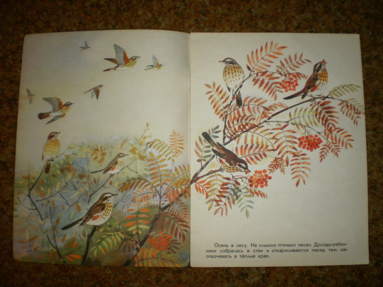 Главная осенняя книга