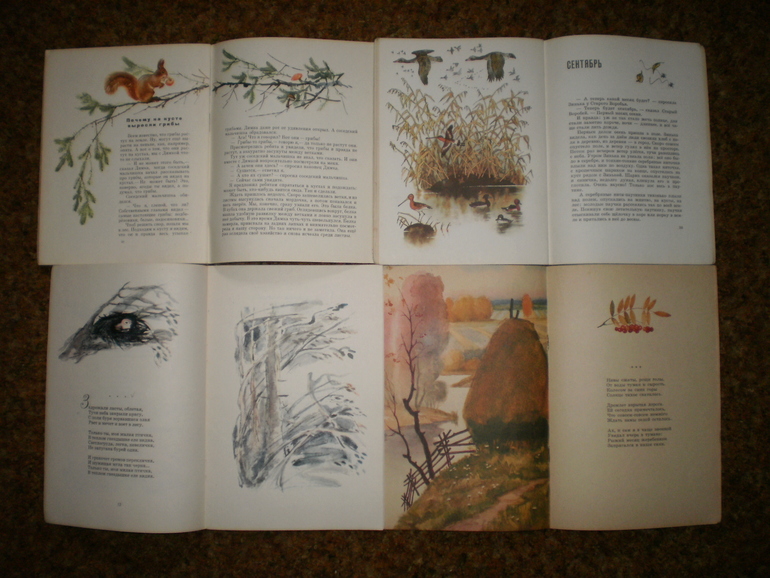 Главная осенняя книга