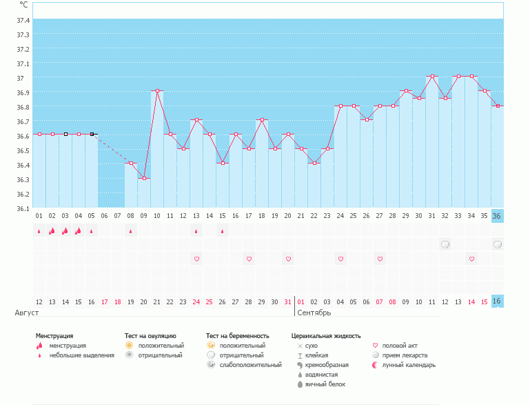 Почему овуляцию не рисует?