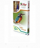 пристрой развивающих деревянных игрушек на логику, внимание, память, развитие речи