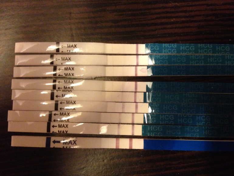 Мои беременные тесты)))