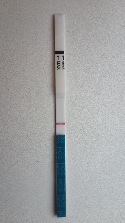 А сегодня тишина!!!!!!!(