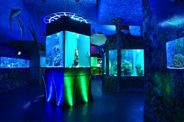 Чем заняться с детьми в Праге?