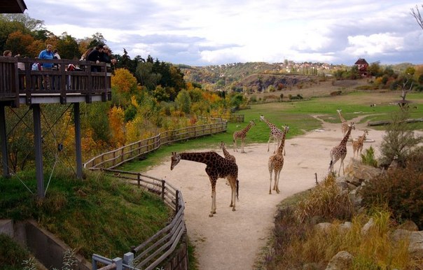 Чем заняться с детьми в Праге?