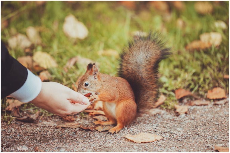 Осенняя любовь.