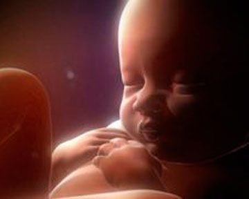 Жизнь до рождения! Ребенок в утробе матери!