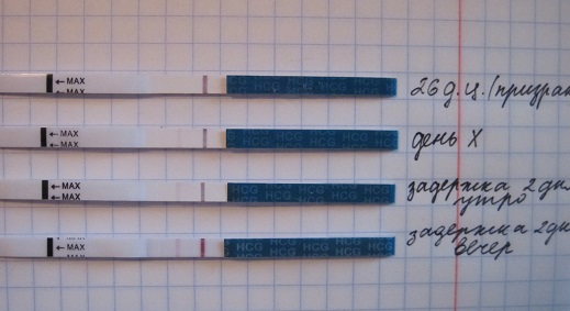 Задержка месячных после внематочной беременности. Тест после задержки. Тесты по дням задержки. Динамика тестов при внематочной беременности. Тест на беременность по дням задержки.