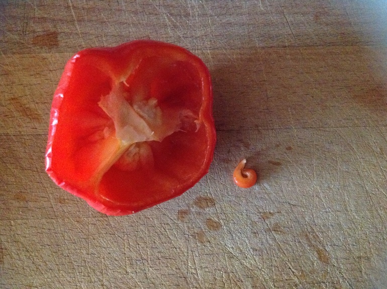 Я думаю это знак!!!!