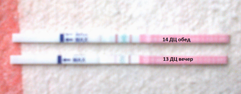 И мои 24ч удачи!! :) Да?