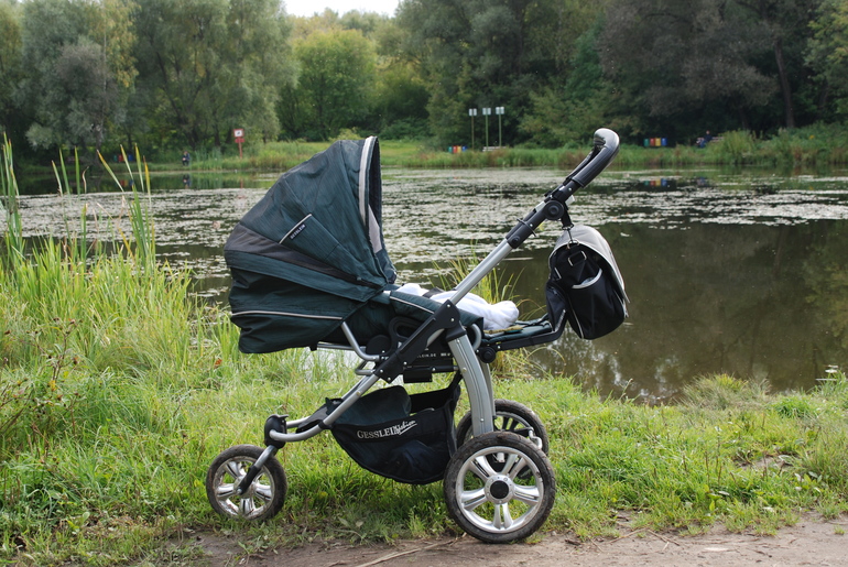 Gesslein vision S - моя рабочая лошадка.