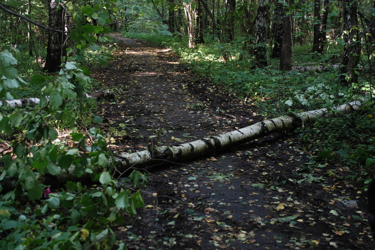 Gesslein vision S - моя рабочая лошадка.