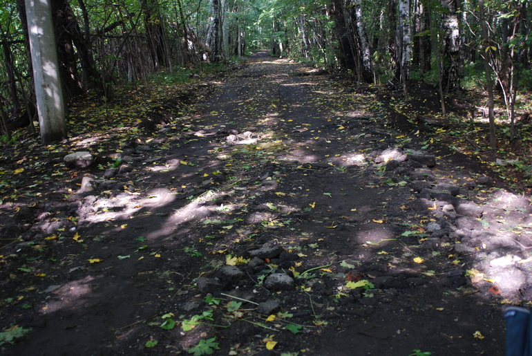 Gesslein vision S - моя рабочая лошадка.