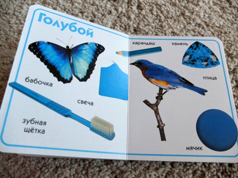 Книги, которые нравятся моему малышу в 1 год (фото разворотов)