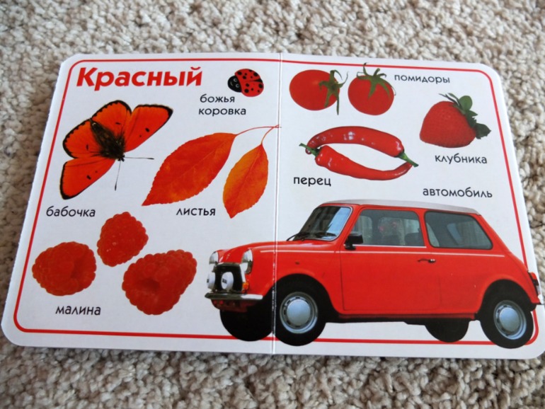 Книги, которые нравятся моему малышу в 1 год (фото разворотов)