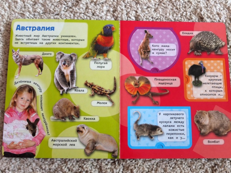 Книги, которые нравятся моему малышу в 1 год (фото разворотов)