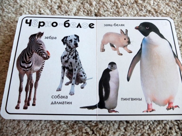 Книги, которые нравятся моему малышу в 1 год (фото разворотов)