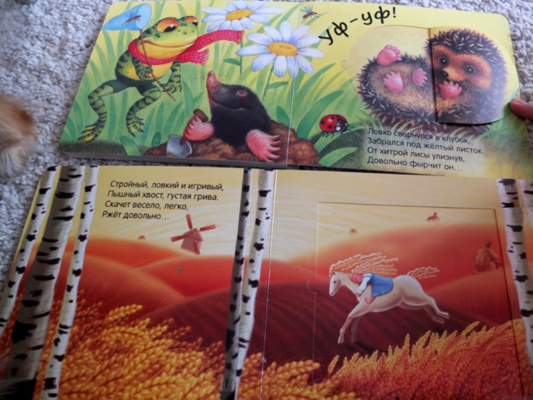 Книги, которые нравятся моему малышу в 1 год (фото разворотов)