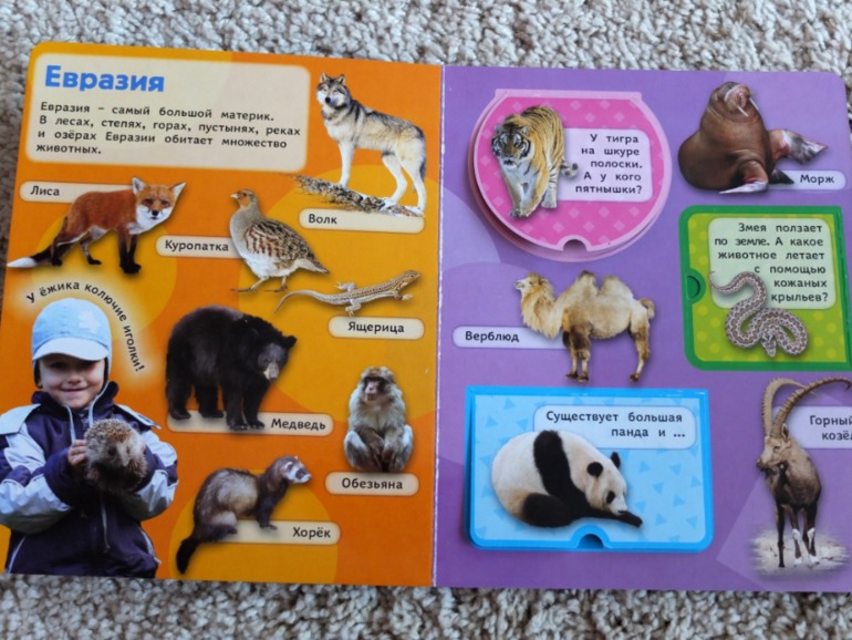 Книги, которые нравятся моему малышу в 1 год (фото разворотов)