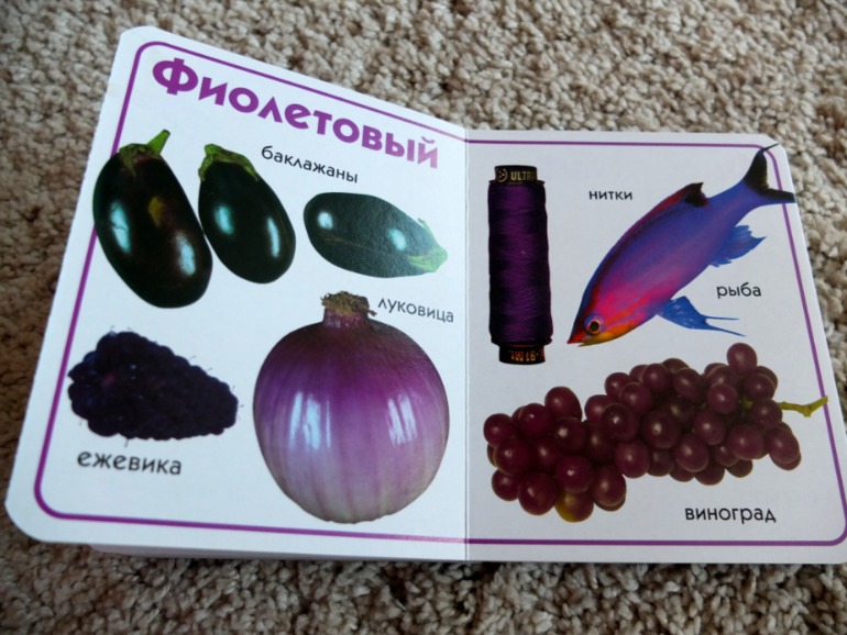 Книги, которые нравятся моему малышу в 1 год (фото разворотов)