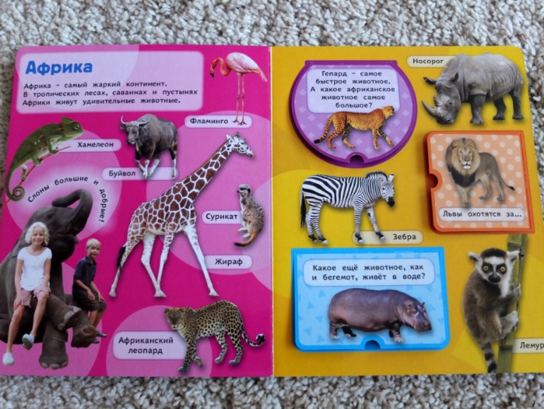 Книги, которые нравятся моему малышу в 1 год (фото разворотов)