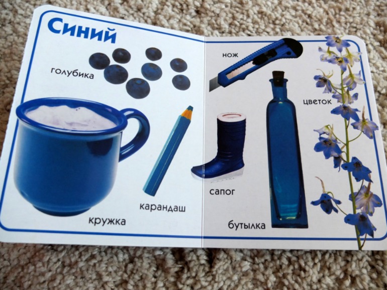 Книги, которые нравятся моему малышу в 1 год (фото разворотов)