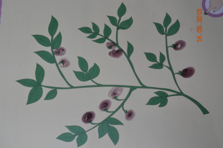 Рисуем вместе!!!