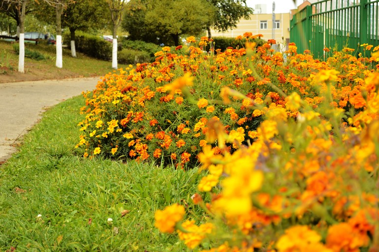 Портреты пока не идут...