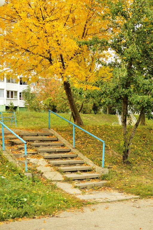 Портреты пока не идут...