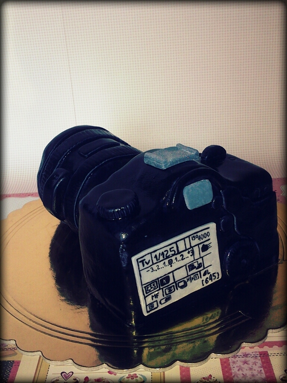 Мой пятый мастичный. Фотоаппарат.